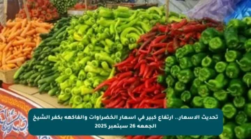 تحديث الأسعار.. ارتفاع كبير في أسعار الخضراوات والفاكهة بكفر الشيخ الجمعة 26 سبتمبر 2025